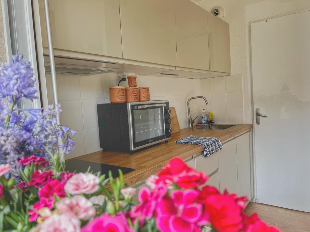 La Voulzie Appartement - Proche Centre Avec Parking Prive Provins Eksteriør bilde